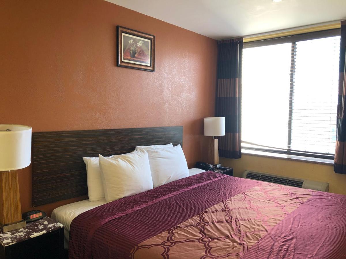 King Room - Non-Smoking,721517575:JPEG