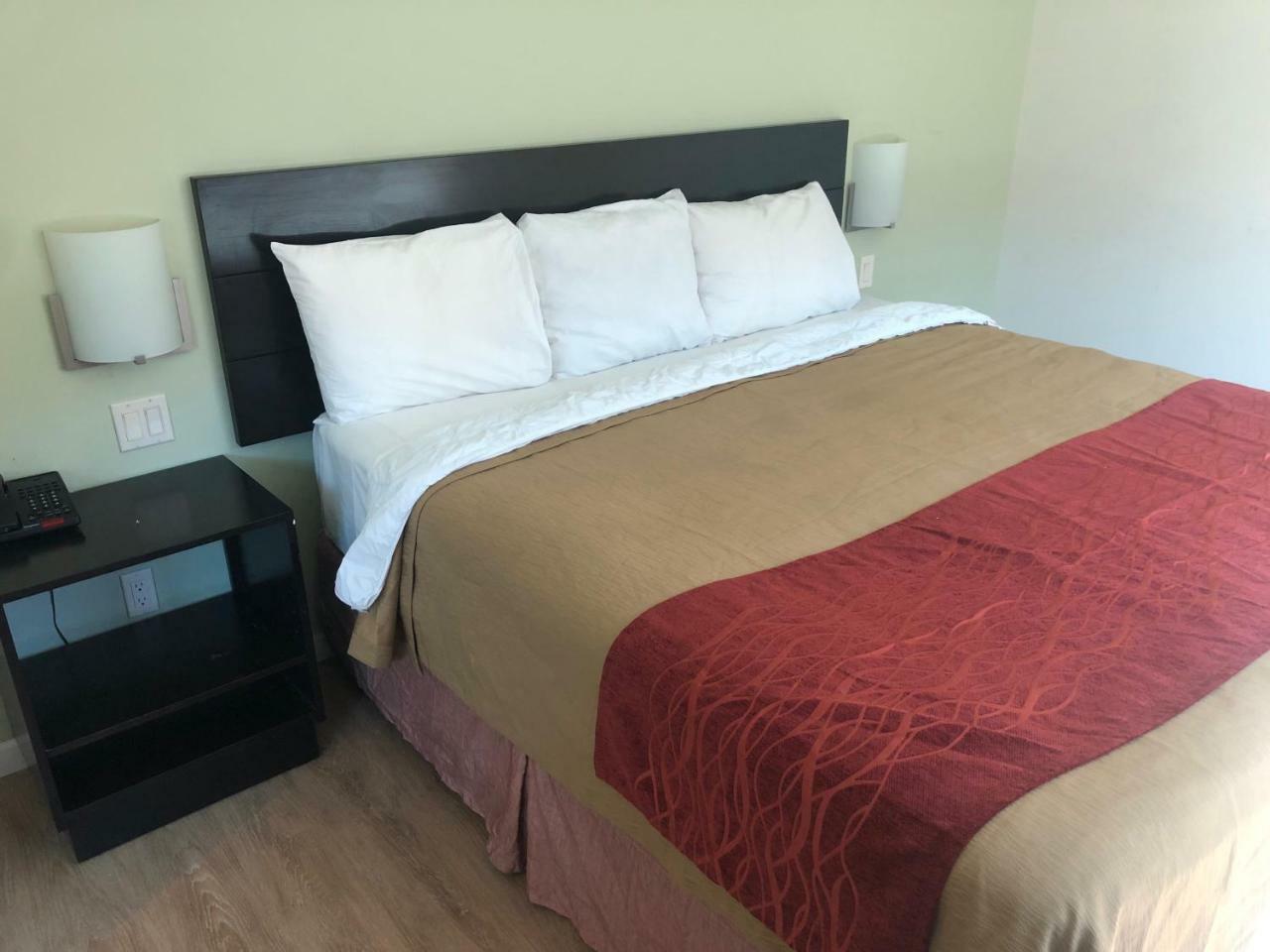 Superior Single Room