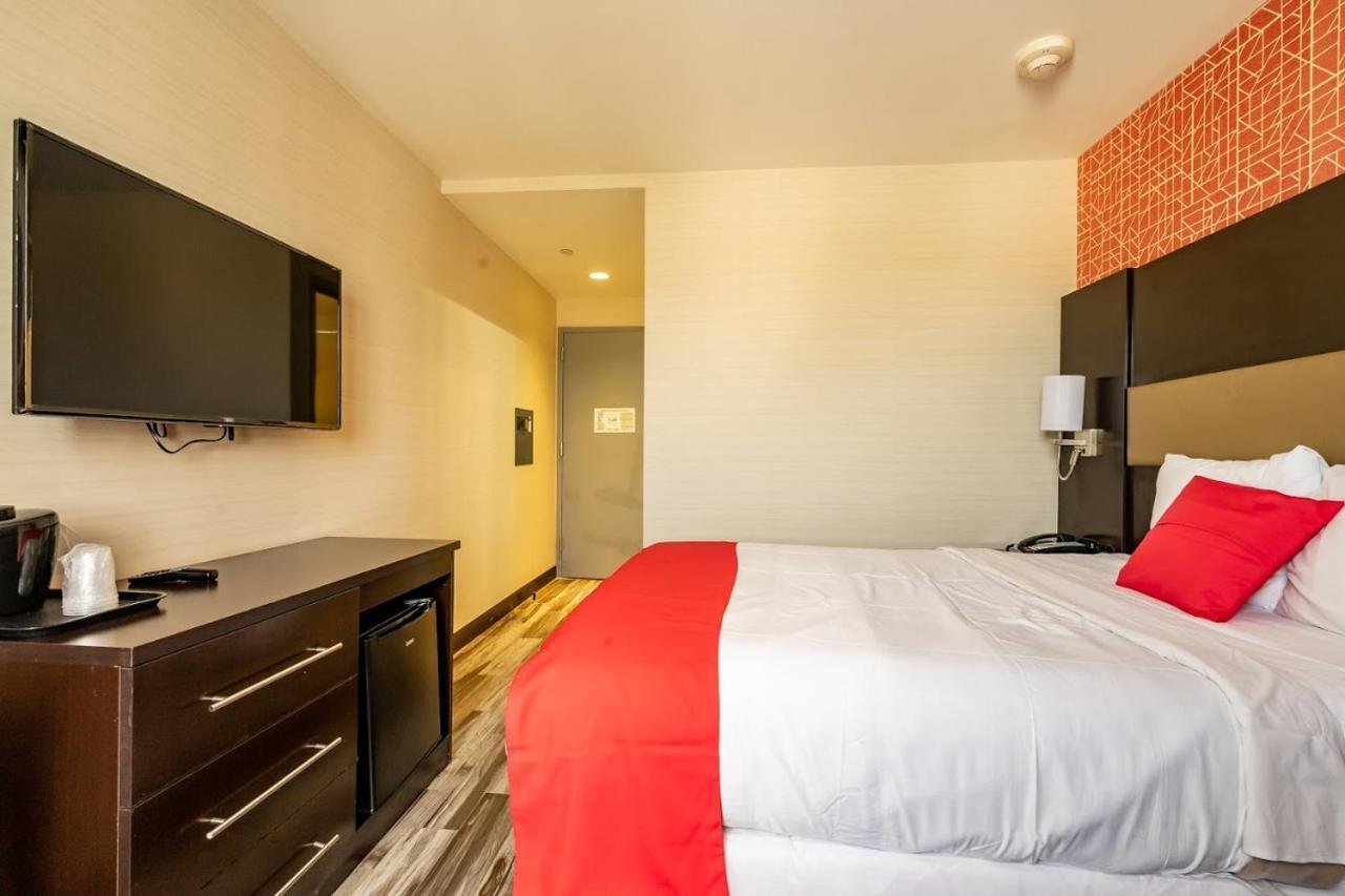 Premium Double Room with Two Double Beds