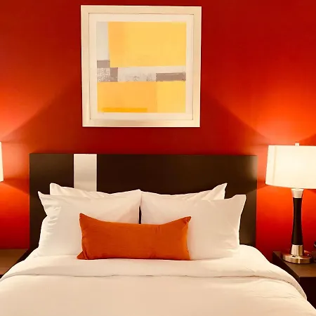 Surface Inn Brooklyn (Adults Only)-3