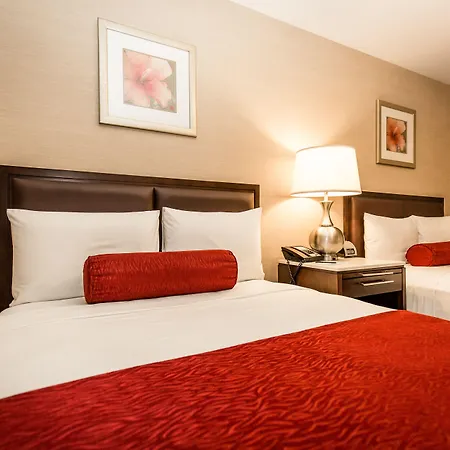 The Belvedere Hotel-3