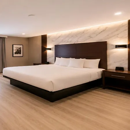 Hotel Pergola Jamaica Jfk-2